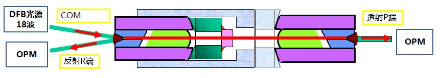 004.JPG
